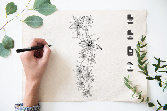 Botany Set Graphics: Coloring Pages Amp Review