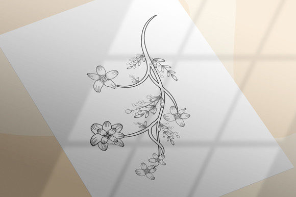Classic Botany Set Graphics and Coloring Pages Amp
