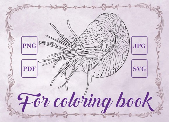 Nautilus Mollusk Coloring Book for Modern Graphics & Branding