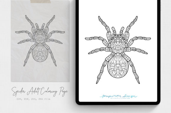 Spider Adult Coloring Page: Graphics & Coloring Pages Amp
